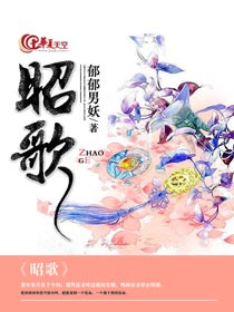 昭歌热水器