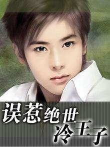 误惹冷殿下小说