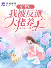 穿书后我嫁反派大佬