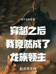 穿越之后我竟然成了龙族领主小说