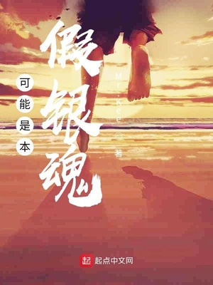 可能是本假银魂小说
