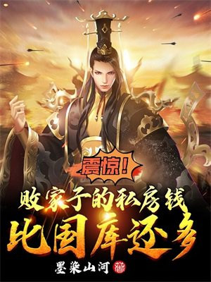 震惊!败家子的私房钱比国库还多 第297章