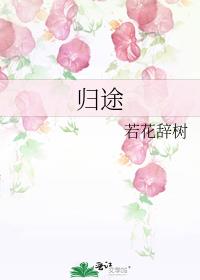 归途24小时