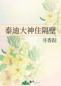 泰迪在房间大小便怎么处理