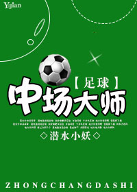 足球中场大师2小说
