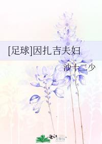天下足球对因扎吉的评价