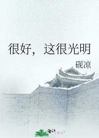 很好,这很光明的英文