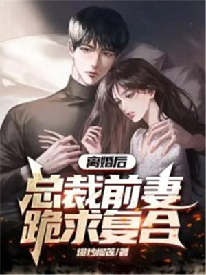 离婚后,总裁前妻跪求复合小说