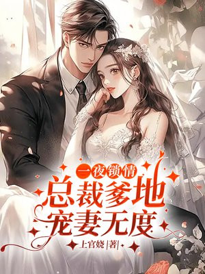 小说名字 一夜锁情,总裁先生请温柔