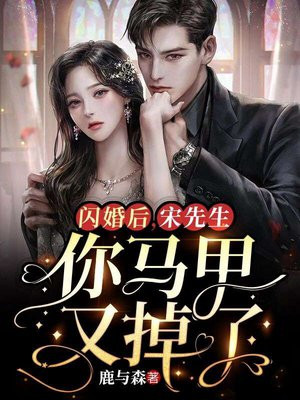 闪婚总裁宋清云