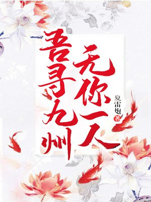吾寻九州，无你一人