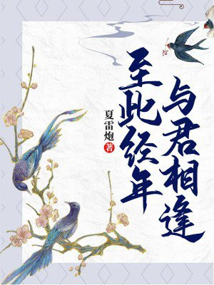 至此经年与君相逢沐皓辰