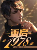 重启1978全集完整版