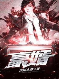 豪婿归来电视剧免费观看