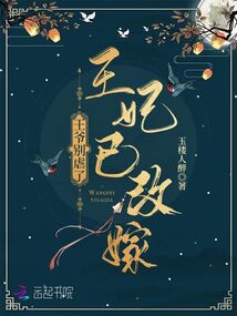王爷别虐了,王妃已改嫁 小说