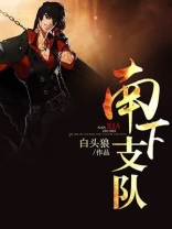 南下支队酒