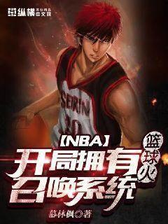 nba开局小说