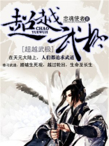 超越武极 小说