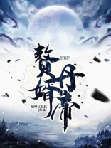 赘婿丹帝TXT下载