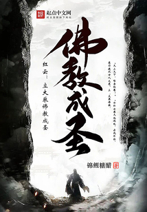 红云立大乘佛教成圣TXT