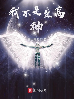 我不是至高神 小说