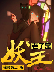 老子是妖王 秘影骑士