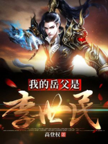 大唐第一驸马爷房俊小说
