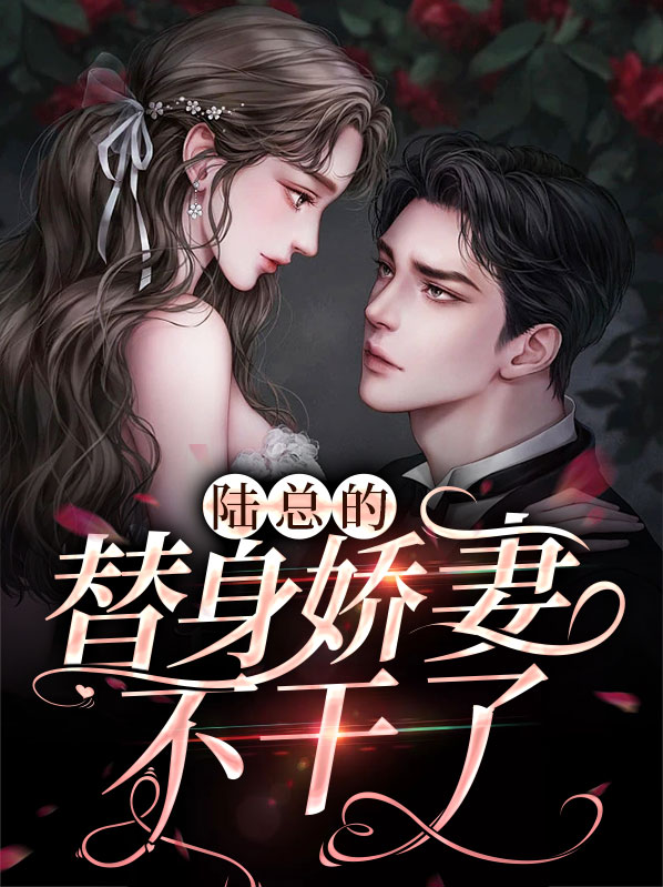 陆总的替身新娘
