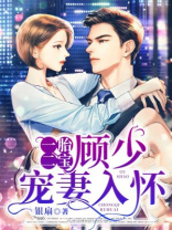 一胎二宝,顾少强夺成瘾全文免费阅读