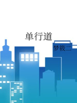 单行道路面标线