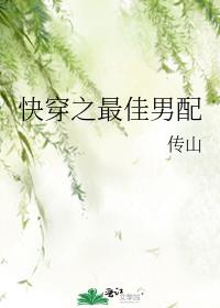 穿越之炮灰男配 完结 [推荐]