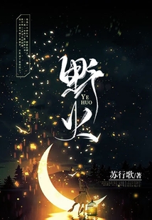 野火h1 v1夏布多昂笔趣阁