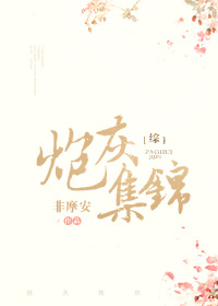 炮灰集锦[综]小说
