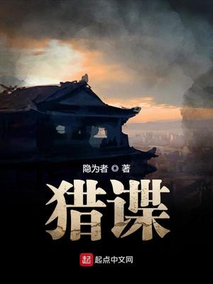 猎谍电视剧在线观看