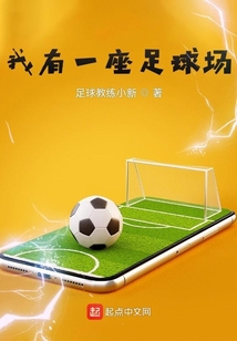 一座足球场造价多少