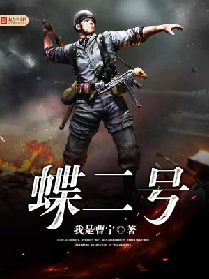 蝶二号小说下载