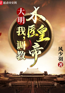 大明:我,调教木匠皇帝