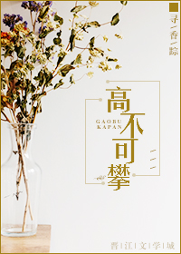 高不可攀小说