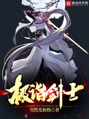 极诣剑士小说