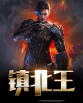 镇北王