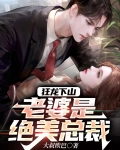狂龙下山:老婆是绝美总裁