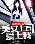 职场风云：美女上司爱上我