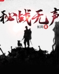 秘战无声