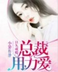 日久成瘾:总裁,用力爱