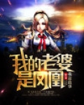 我的老婆是凤凰