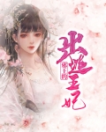 邪王的出逃王妃