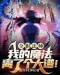 全职法师:我的魔法离了个大谱!