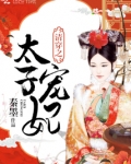 清穿之太子宠妃