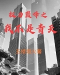 权力巅峰之我不是青天最新章节更新时间