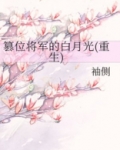 篡位将军的白月光